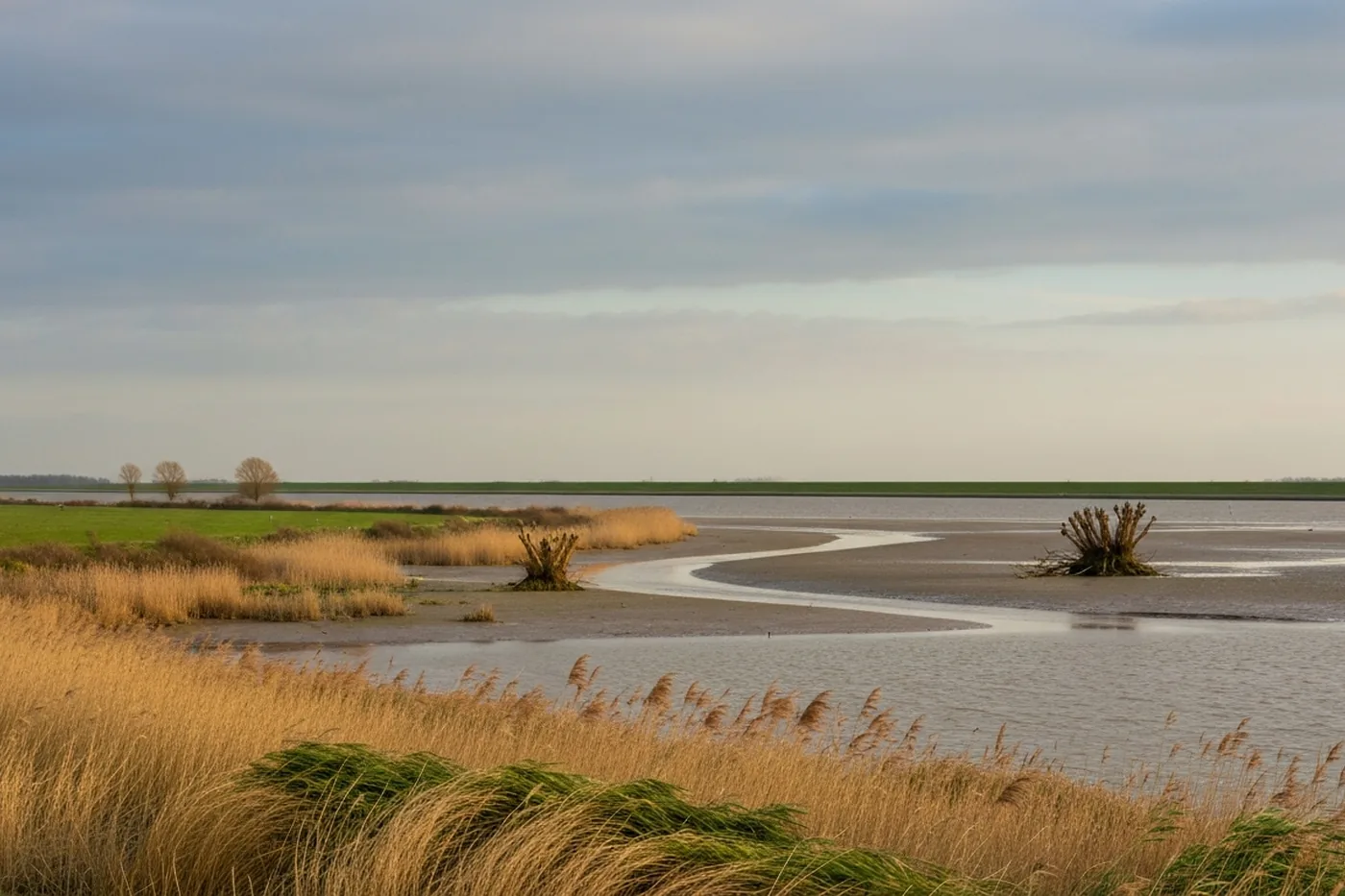 Natuureiland Tiengemeten